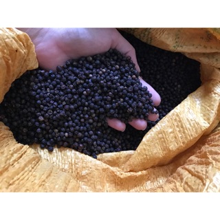 Tiêu nhà trồng Bình Phước