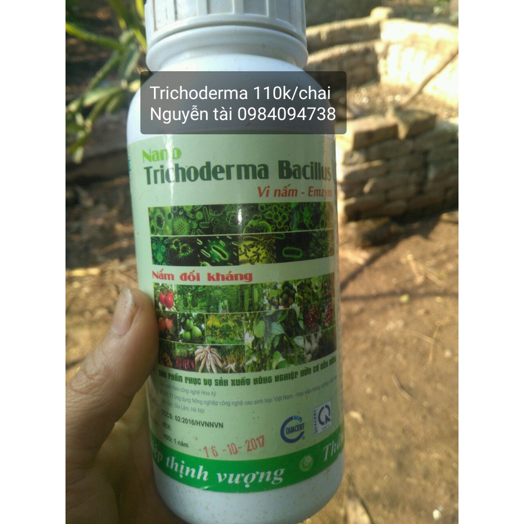 Nấm đối kháng Trichoderma Bacillus (dạng nước) chai 500ml nhập khẩu-  chuyên dụng.