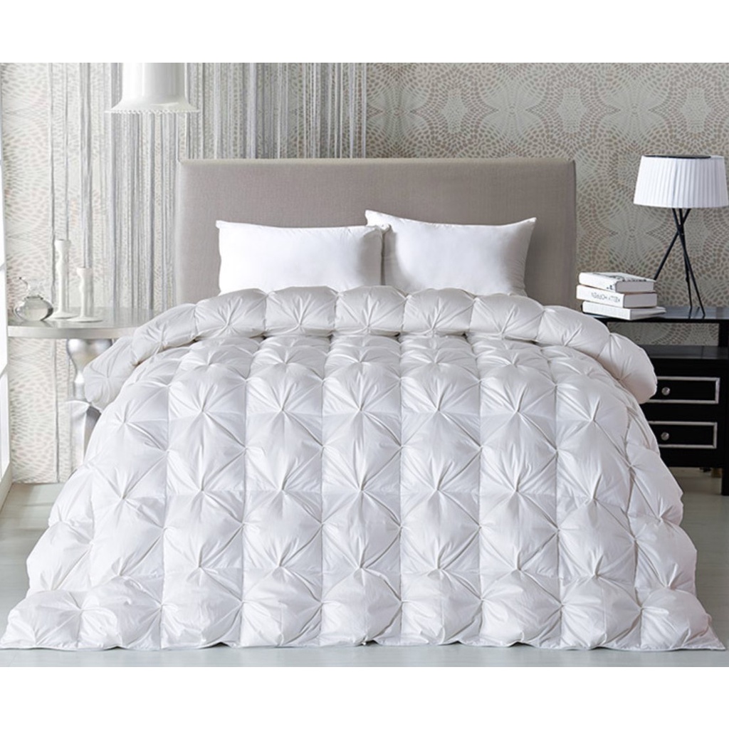 Passion Ruột Chăn Lông Ngỗng Khách Sạn 95% Lông Down Cao Cấp