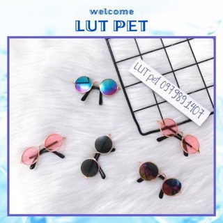Kính mắt chó mèo - Mắt Kính thời trang chó mèo - Kính râm cho cún