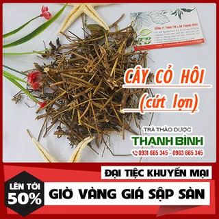 Cây C.ứt Lợn (Cỏ Hôi) Khô _1Kg
