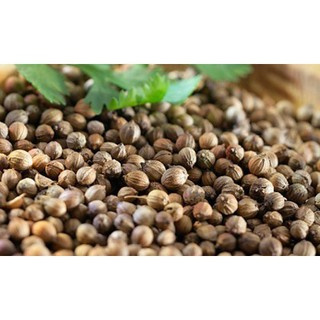 Hạt Ngò / Hạt Mùi/ 500gr