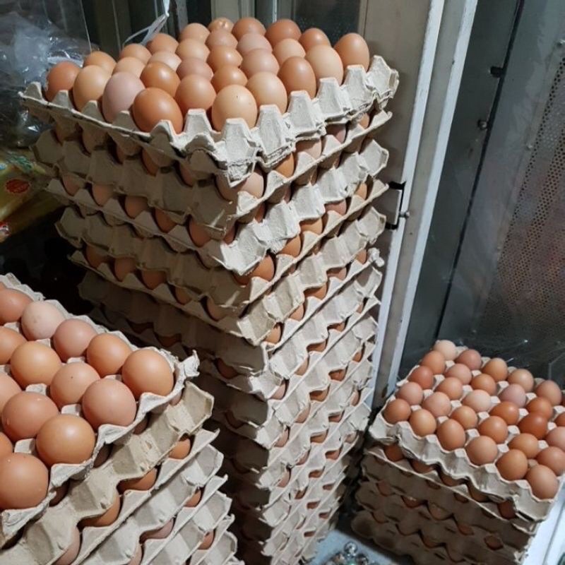 Trứng gà ta, trứng vịt đồng ở quê (10 qủa)