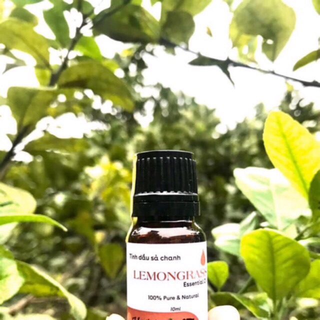 Tinh dầu Sả chanh Karose