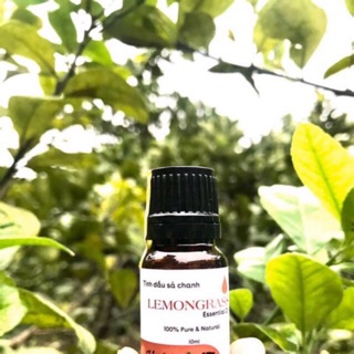Tinh dầu Sả chanh Karose
