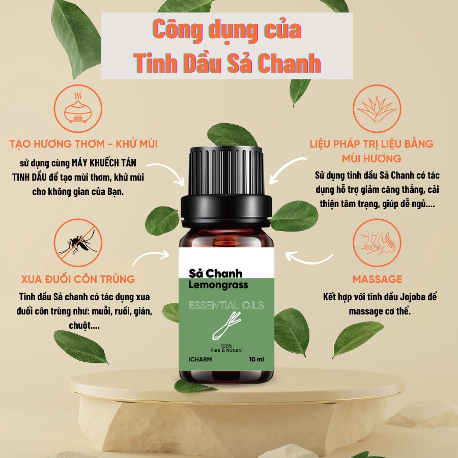 Tinh dầu sả chanh 10ml 50ml iCHARM [không mùi hương nhân tạo ,nguyên chất 100%]