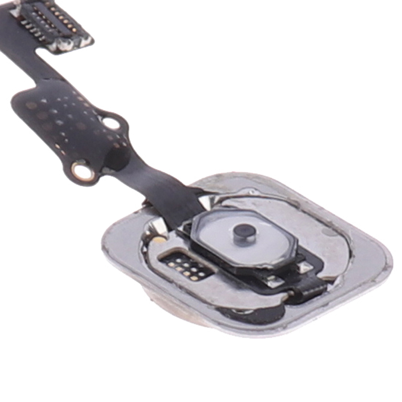 Mạch Nút Home Cho Điện Thoại 6s 6s Plus | BigBuy360 - bigbuy360.vn