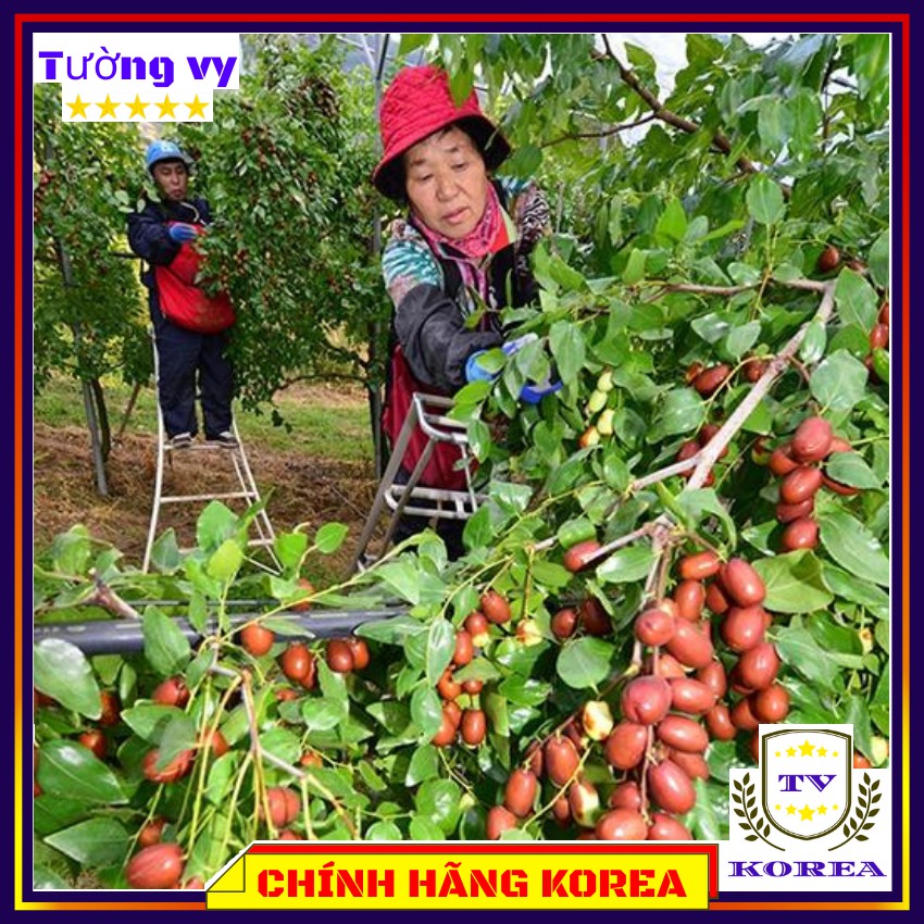 Táo Đỏ Sấy Khô Hàn Quốc, Hộp 1kg - Táo Đỏ Hàn Quốc Chính Hãng - tuongvykorea
