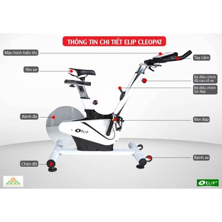 Xe đạp tập Elip Cleopat