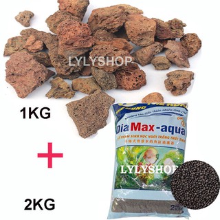 Combo ĐÁ NHAM THẠCH (1kg) + PHÂN NỀN DIA MAX- AQUA 2KG (XANH) HỒ THỦY SINH