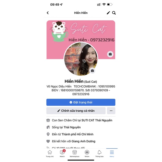 Nhau Mèo Anh Lông Ngắn thu hút tài lộc