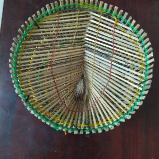 Lợp đặt cá