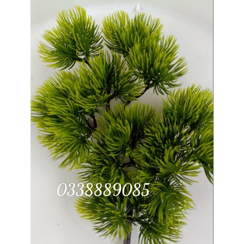 (ẢNH THẬT) Cành tùng, cành thông giả làm cây - trang trí tiểu cảnh - cây hoa giả, hàng sẵn kho