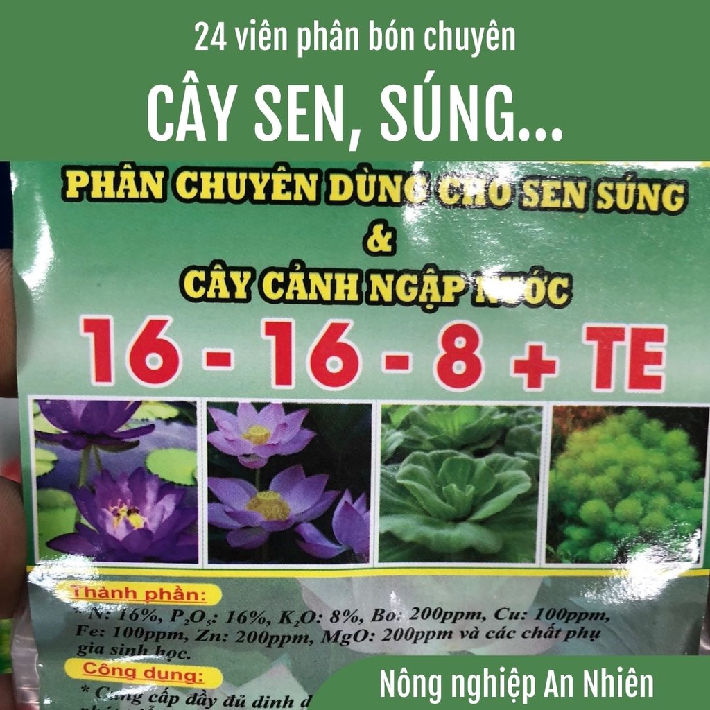 Phân Bón Chuyên Dùng Cho Sen, Súng, Cây Ngập Nước, Phân tan chậm, Phân viên nén 24 viên