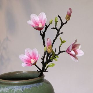 Hoa mộc lan cao cấp