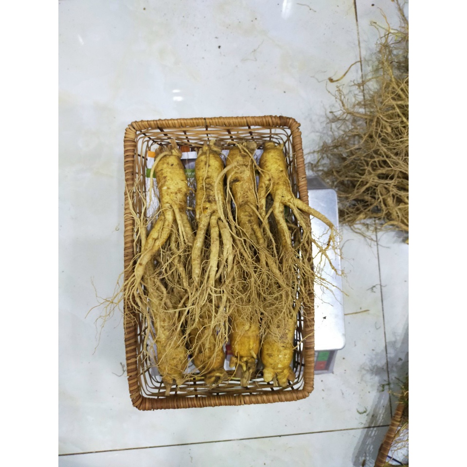 Nhân Sâm Tươi Hàn Quốc loai 8 Củ- 1kg, 1ký bọc vải lụa