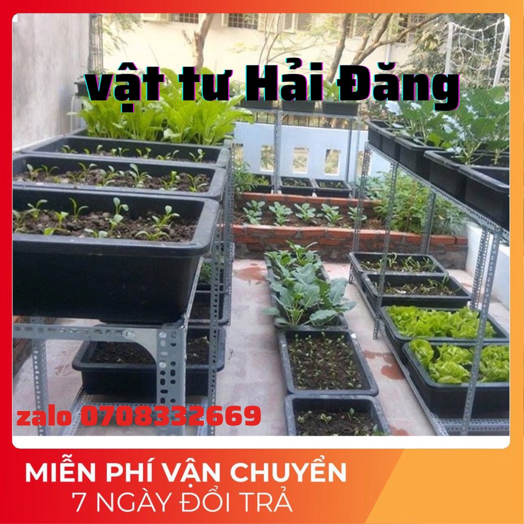 Khung kệ sắt v lỗ trồng rau sạch,kệ trồng sau thông minh,khung trồng rau giá rẻ