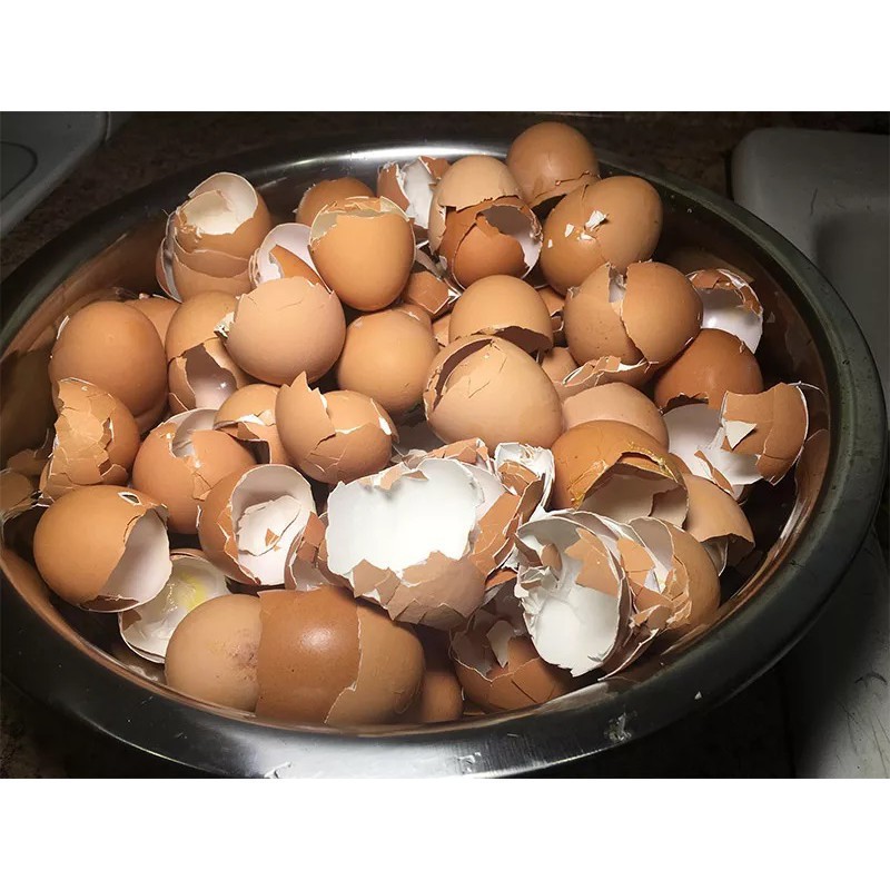 Vỏ Trứng Nghiền Bổ Sung Canxi Và Chống Ốc Sên Cho Cây