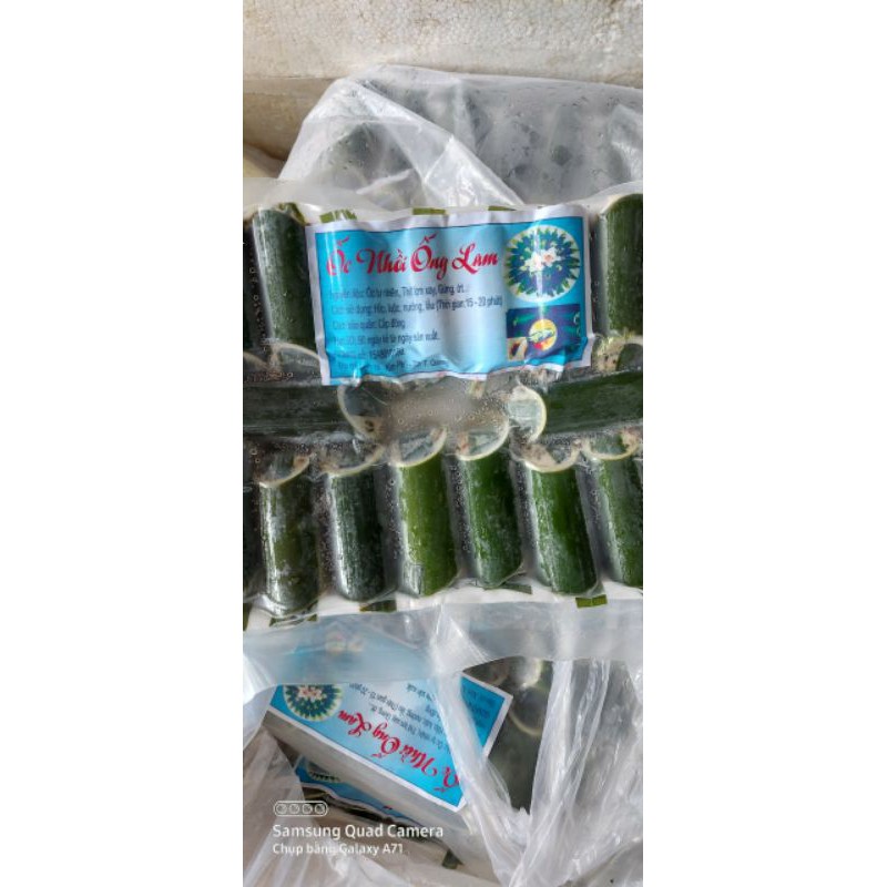 ỐC NHỒI ỐNG NỨA 18 ỐNG