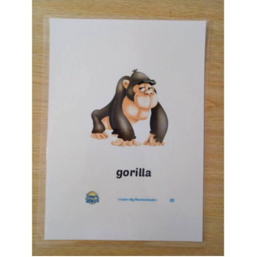 Flashcard I-learn My Phonic 1,2 | I-learn My Phonic Flashcards | ưu đãi SẬP SÀN Cam kết hàng chất lượ