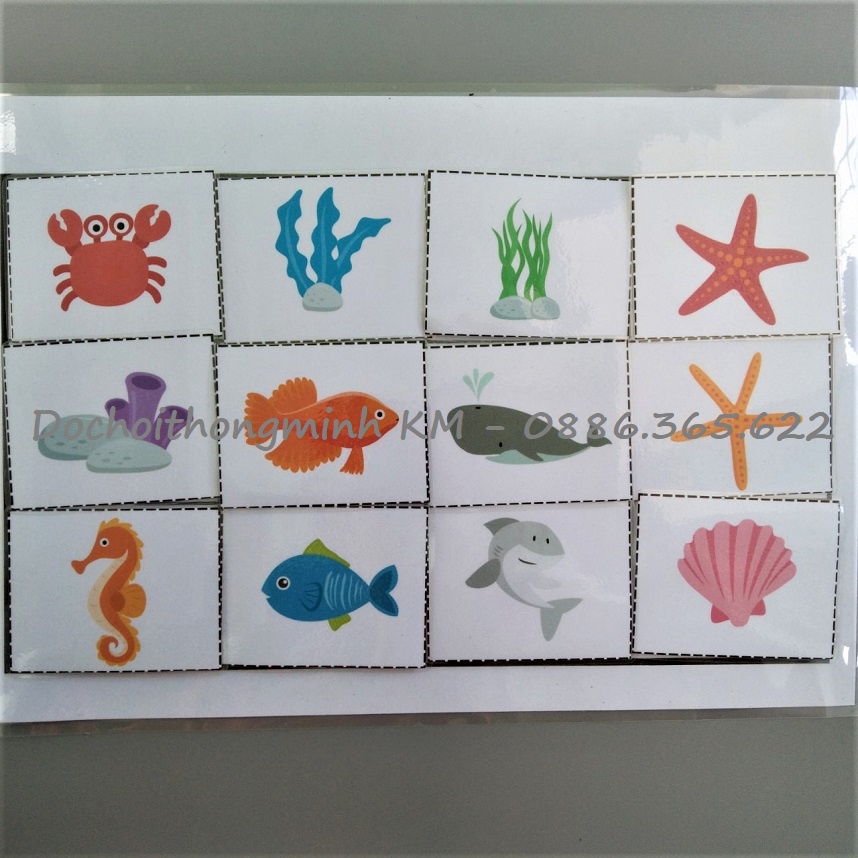 HỌC LIỆU - MATCHING Tìm cặp Ghép bóng sinh vật biển - Tương tác bóc dán cho bé