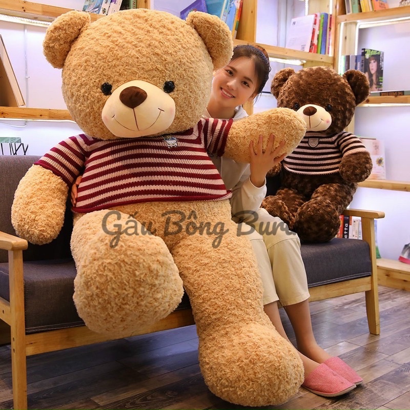 Gấu bông Teddy cao cấp siêu to, teddy lông xoắn hoa hồng mịn