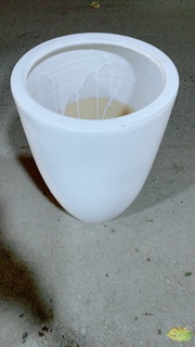 Chậu SứTrồng Cây Chỉ Giao Hoả Tốc cao 40 miệng 25cm