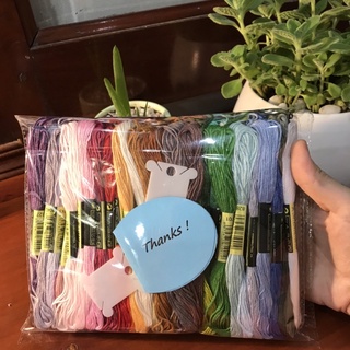 Set 100 chỉ thêu DC