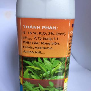 VUA ĐÂM CHỒI