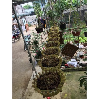 Lưới bọc chậu (cái)