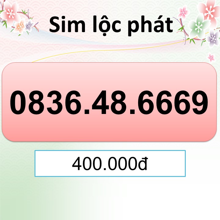 SIM SỐ ĐẸP đuôi 69 6669