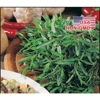 Gói 30 Hạt Giống Cỏ Ngọt Savory Summer