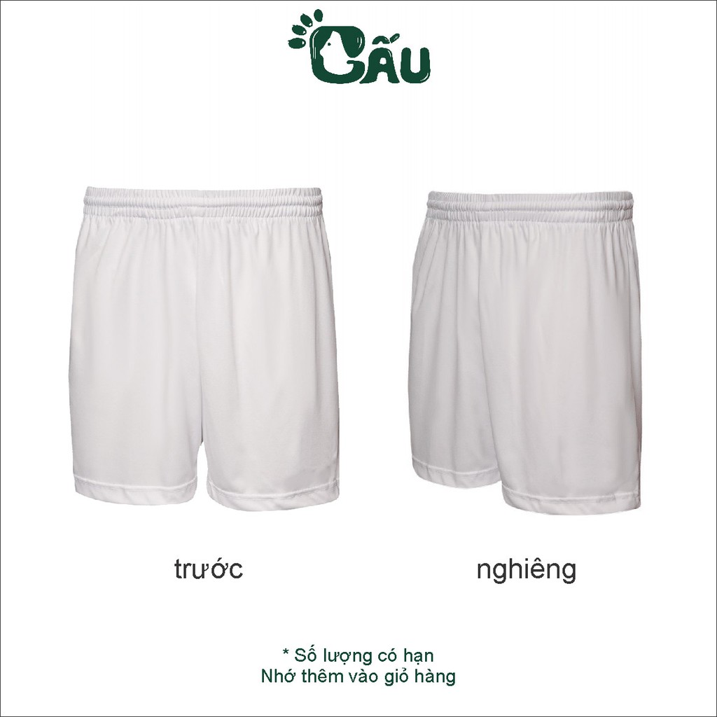 Quần thể thao nam Gấu 194 đá bóng, bóng chuyền, chất vải thun lạnh cao cấp - QĐB