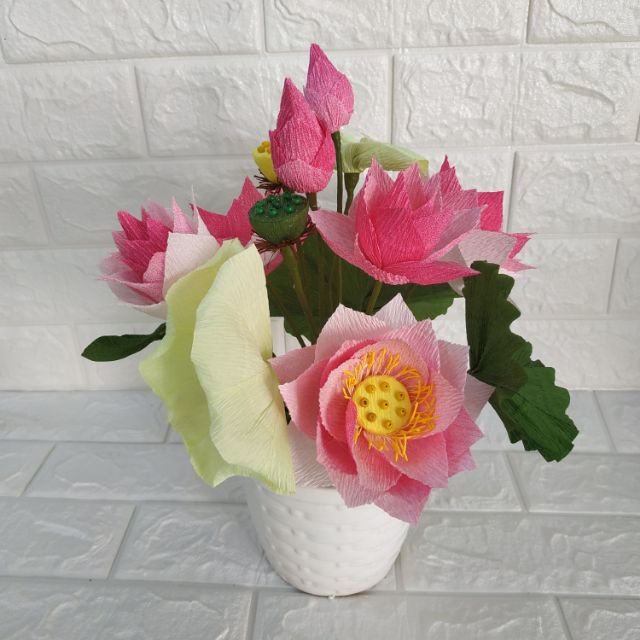 Chậu hoa sen giấy nhún ý