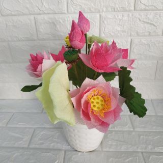 Chậu hoa sen giấy nhún ý
