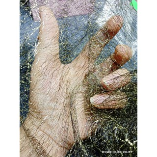 Ren lưới chụp ảnh nail