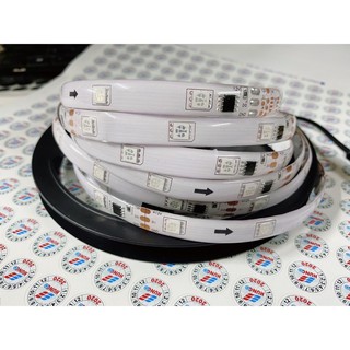 Led cuộn 1903 tự chạy cuộn 5m