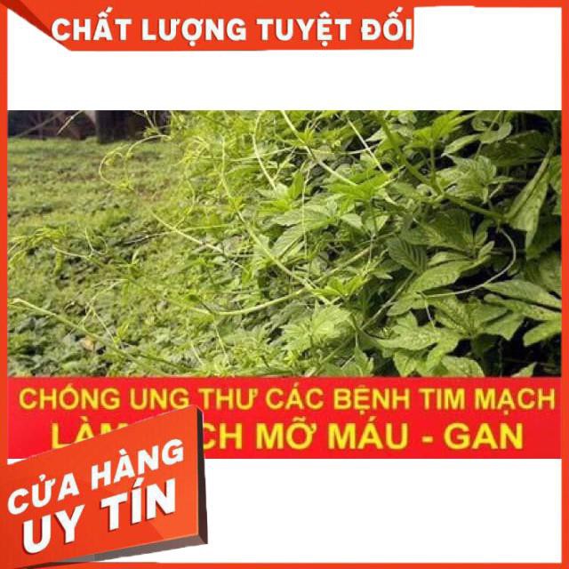 Giảo Cổ Lam Loại 7 Lá Chuẩn Xịn 500g