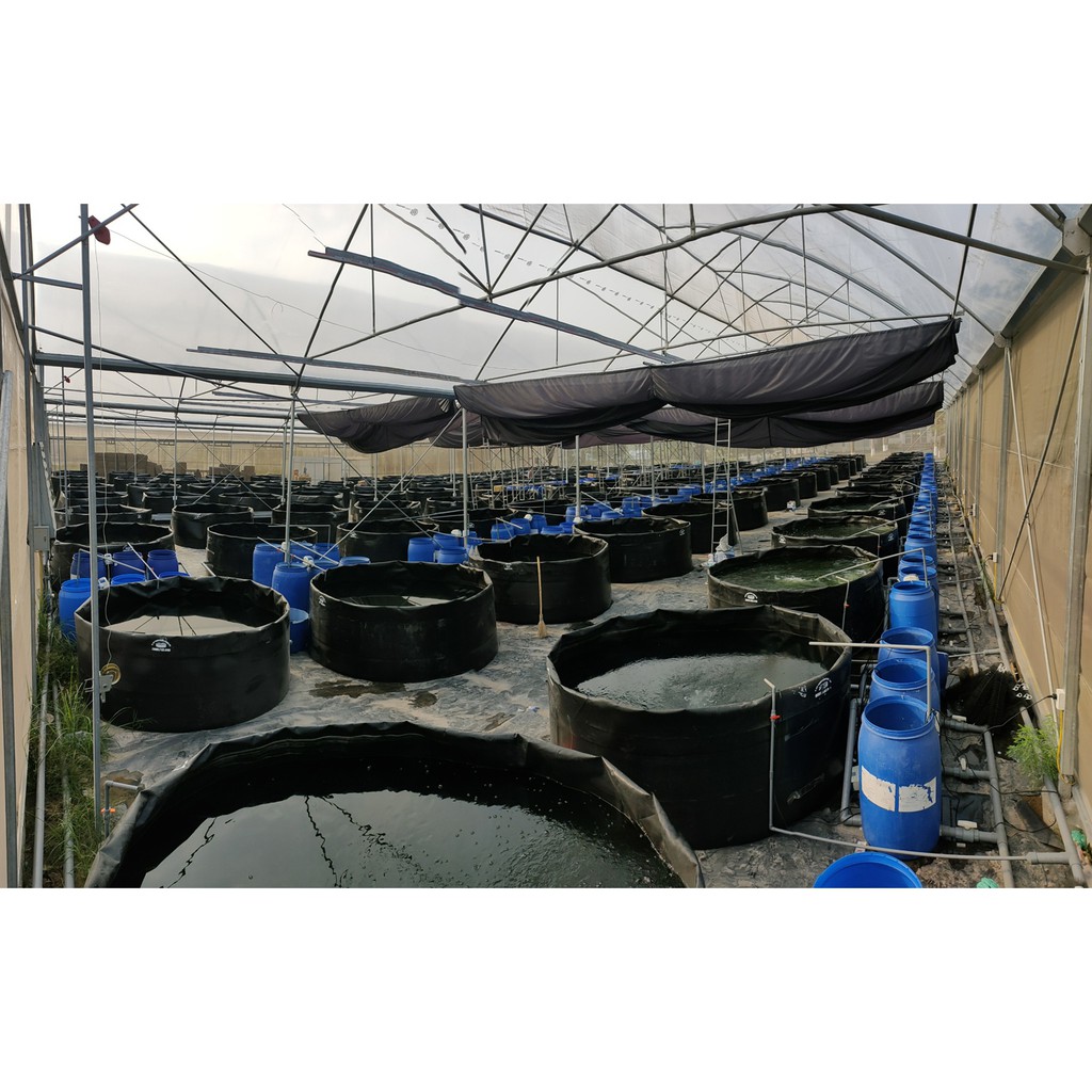 Bạt lót ao hồ HDPE 4m x 2m dày 0.5 bảo hành 5 năm