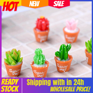 Bộ 2 Cây Xương Rồng Mini Dễ Thương Cho Trang Trí