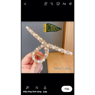 Cào chéo sắt