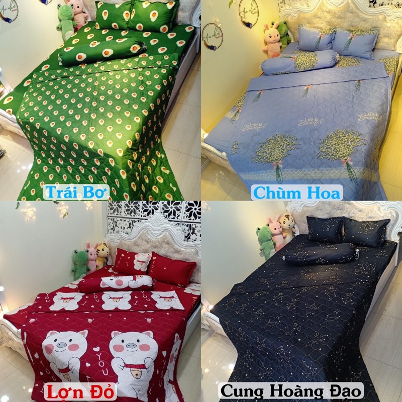 Bộ 5 Món Chăn hè Ga Gối Cotton Poly Combo hàng loại 1 - Nhiều Mẫu Lựa Chọn
