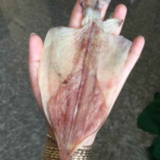 500g khô mực size 17/20 con