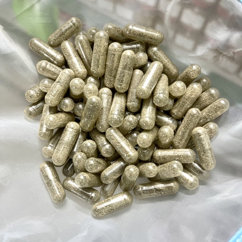 Artemia nước ngọt - viên con nhộng, dễ dàng ấp nở và nuôi sinh khối