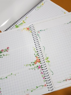 Nhật kí luyện chữ