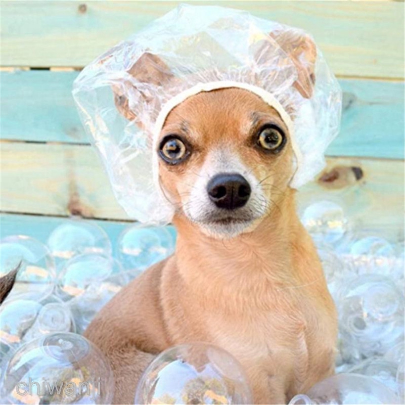 [Hàng mới về] Bộ 100 nón chụp tóc trong suốt dùng một lần tiện lợi