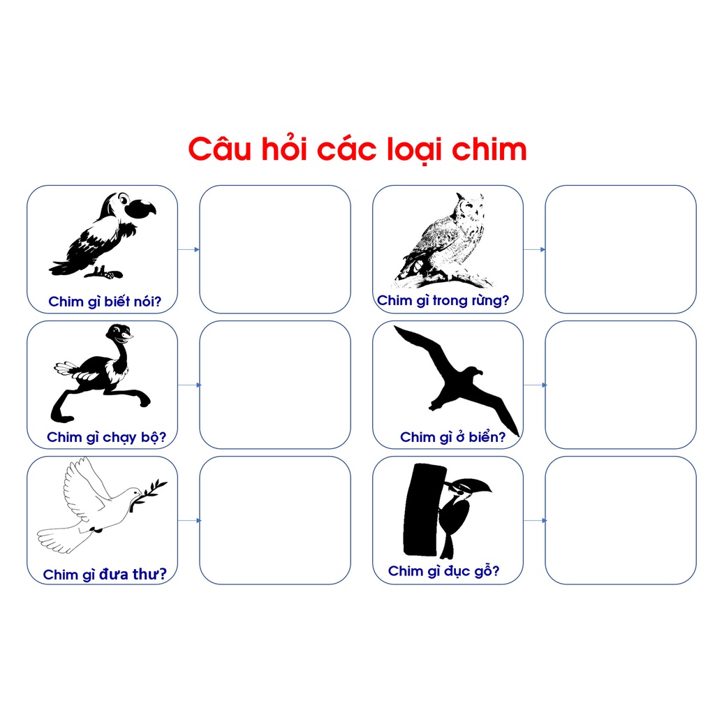 [Thiết Kế Chuẩn Montessori] Học Liệu Bóc Dán Bộ Động Vật 19 Chủ Đề, Học Liệu Thiết Kế Chuẩn Giúp Bé Thông Minh Vượt Trội