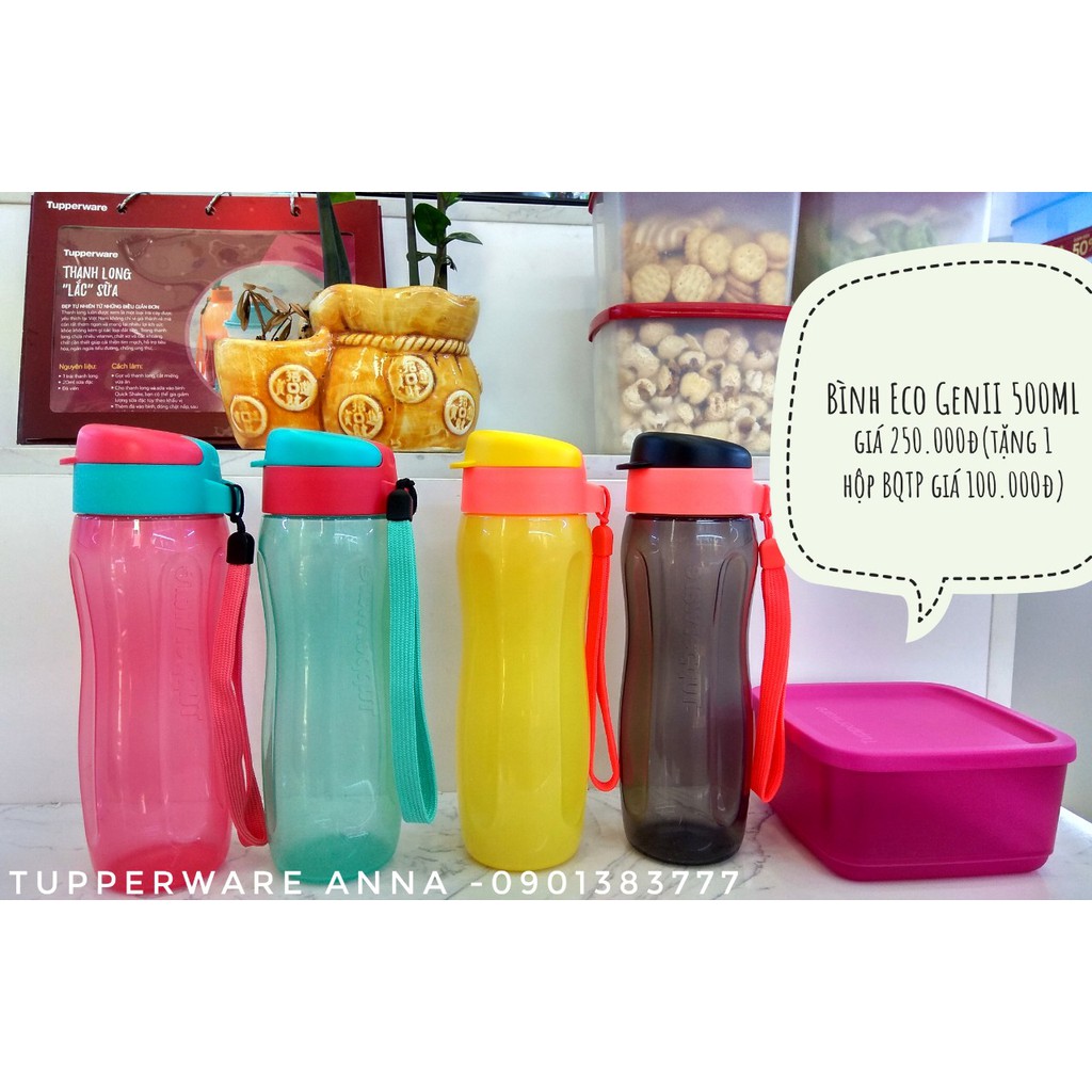 Bình Nước Eco Bottle Gen II 500ml