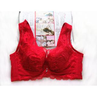 Áo Ngực Ren Mỏng Size Lớn Cup C / D / E / D / E