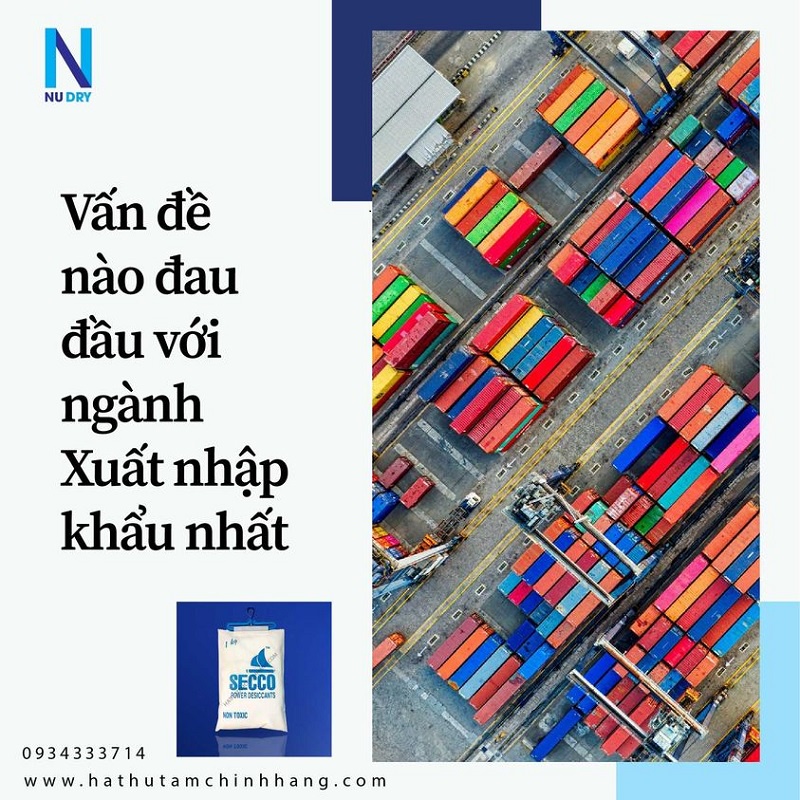 Túi hút ẩm bột treo container 1 kg gói hút ẩm treo phòng - NUD RY